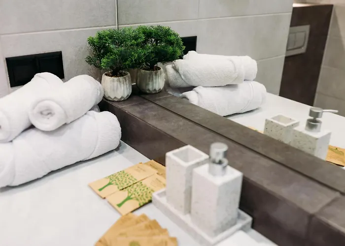 Magic Place Ii - Francuska Park - Free Garage - Self Check-in * קטוביץ